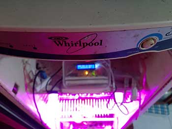 ref whirlpool